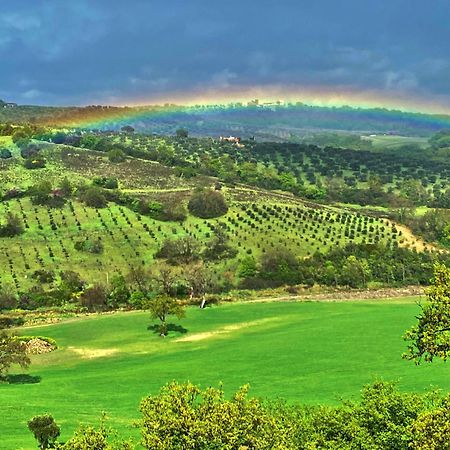 Le Tartarughe Rooms Magliano in Toscana Exteriör bild