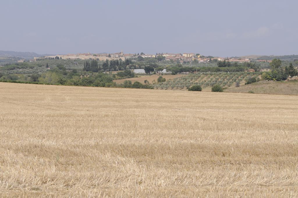 Le Tartarughe Rooms Magliano in Toscana Exteriör bild