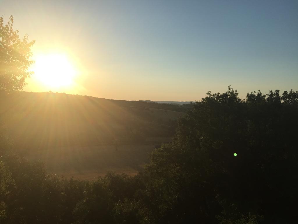 Le Tartarughe Rooms Magliano in Toscana Exteriör bild