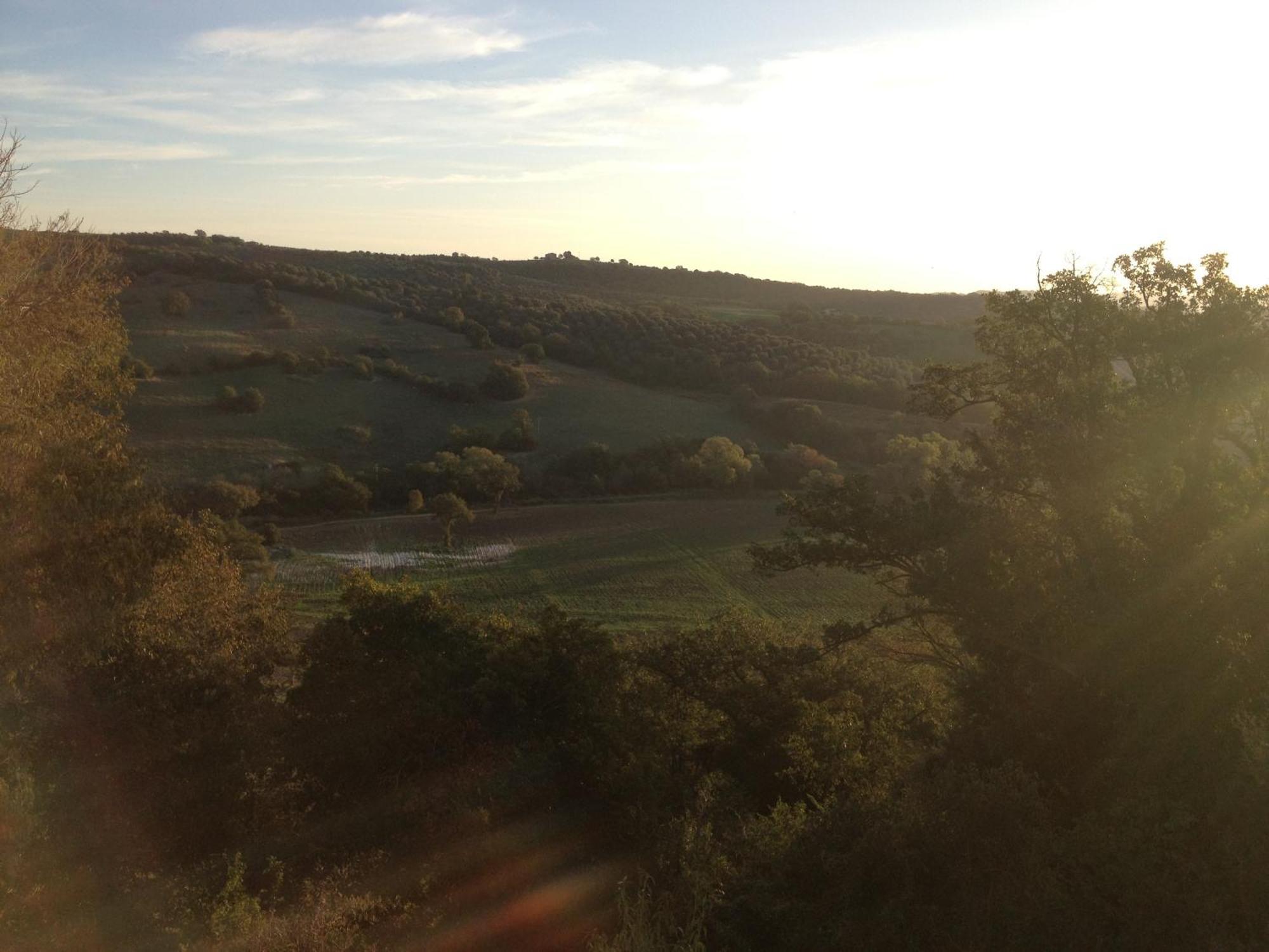 Le Tartarughe Rooms Magliano in Toscana Exteriör bild