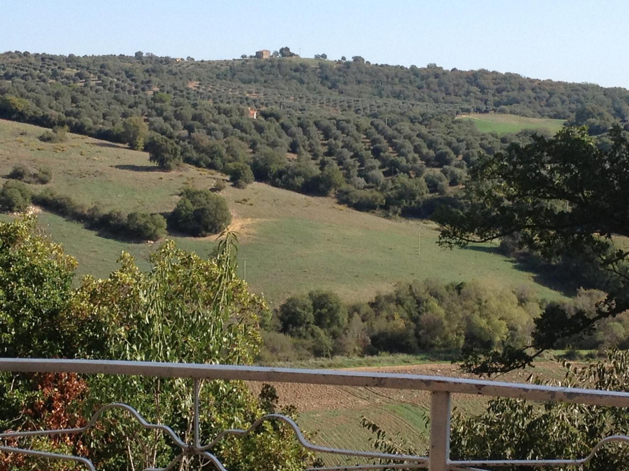 Le Tartarughe Rooms Magliano in Toscana Exteriör bild