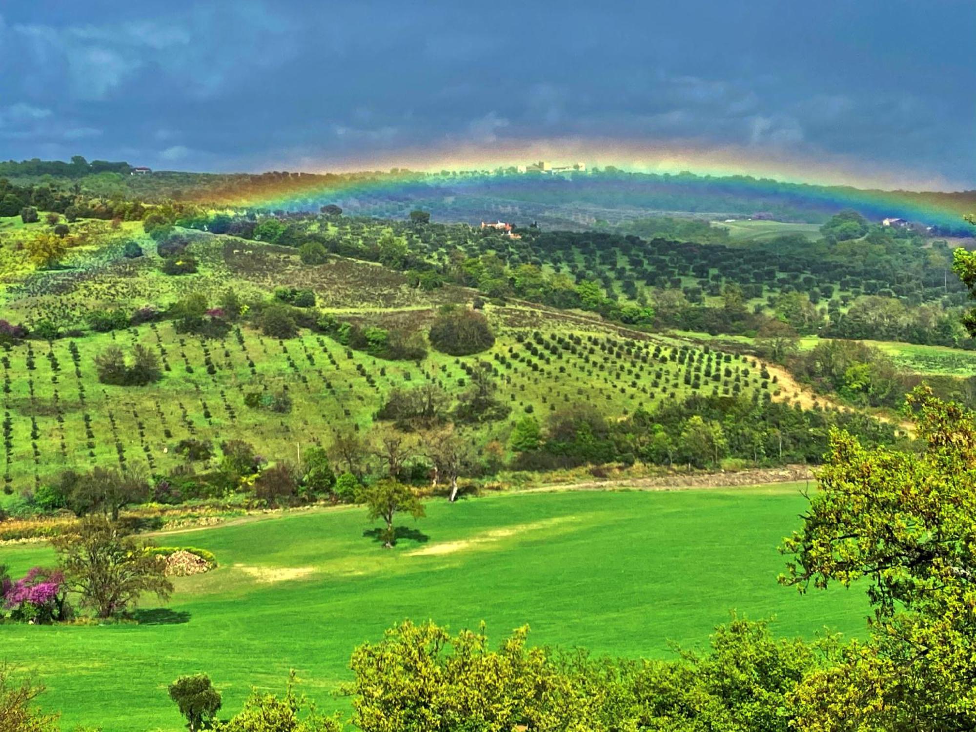 Le Tartarughe Rooms Magliano in Toscana Exteriör bild
