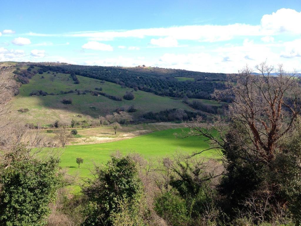 Le Tartarughe Rooms Magliano in Toscana Exteriör bild