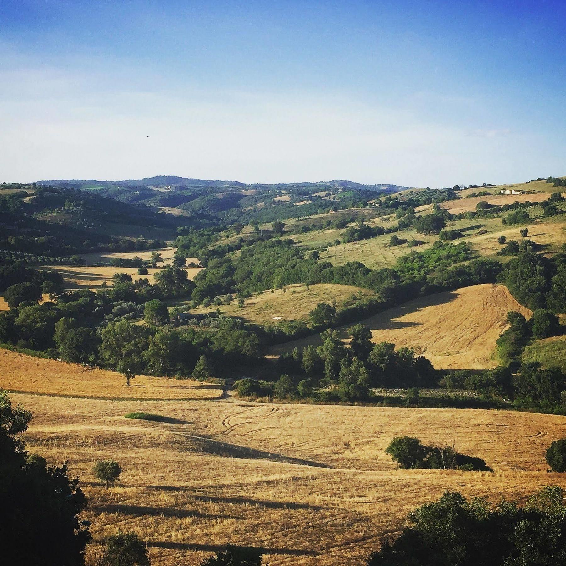 Le Tartarughe Rooms Magliano in Toscana Exteriör bild
