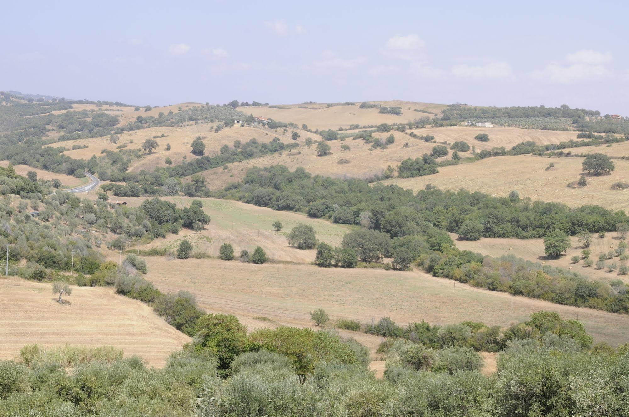Le Tartarughe Rooms Magliano in Toscana Exteriör bild