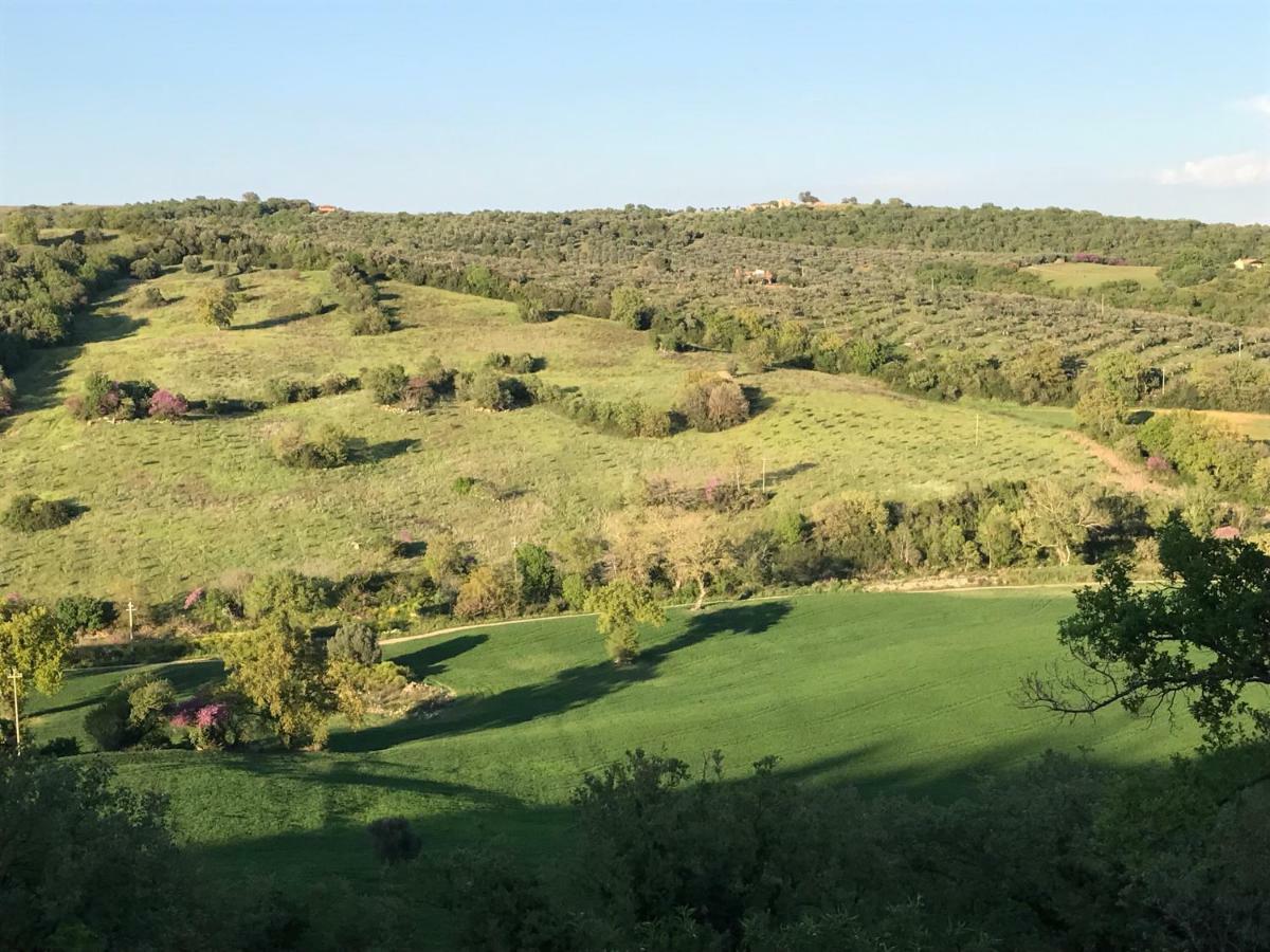 Le Tartarughe Rooms Magliano in Toscana Exteriör bild