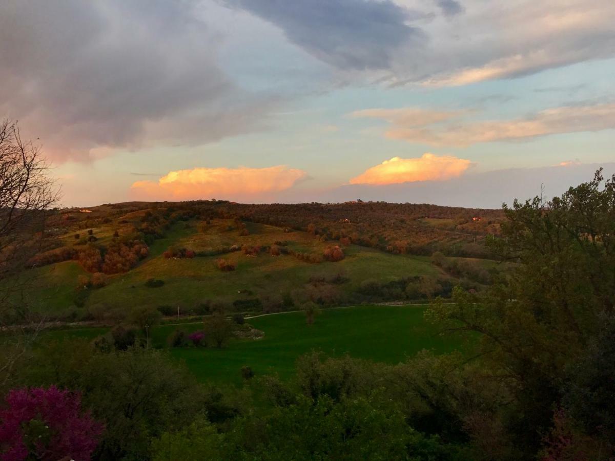 Le Tartarughe Rooms Magliano in Toscana Exteriör bild