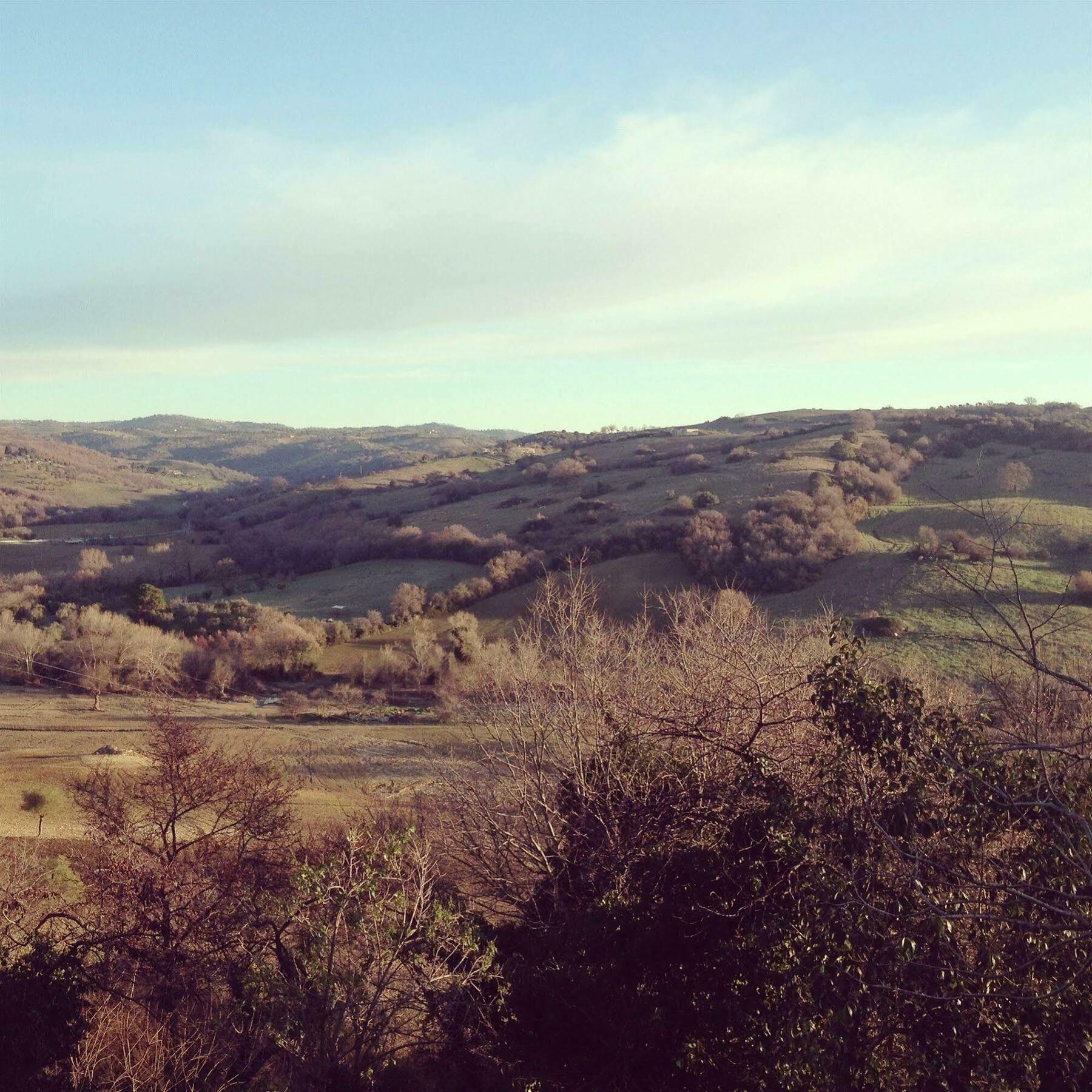Le Tartarughe Rooms Magliano in Toscana Exteriör bild